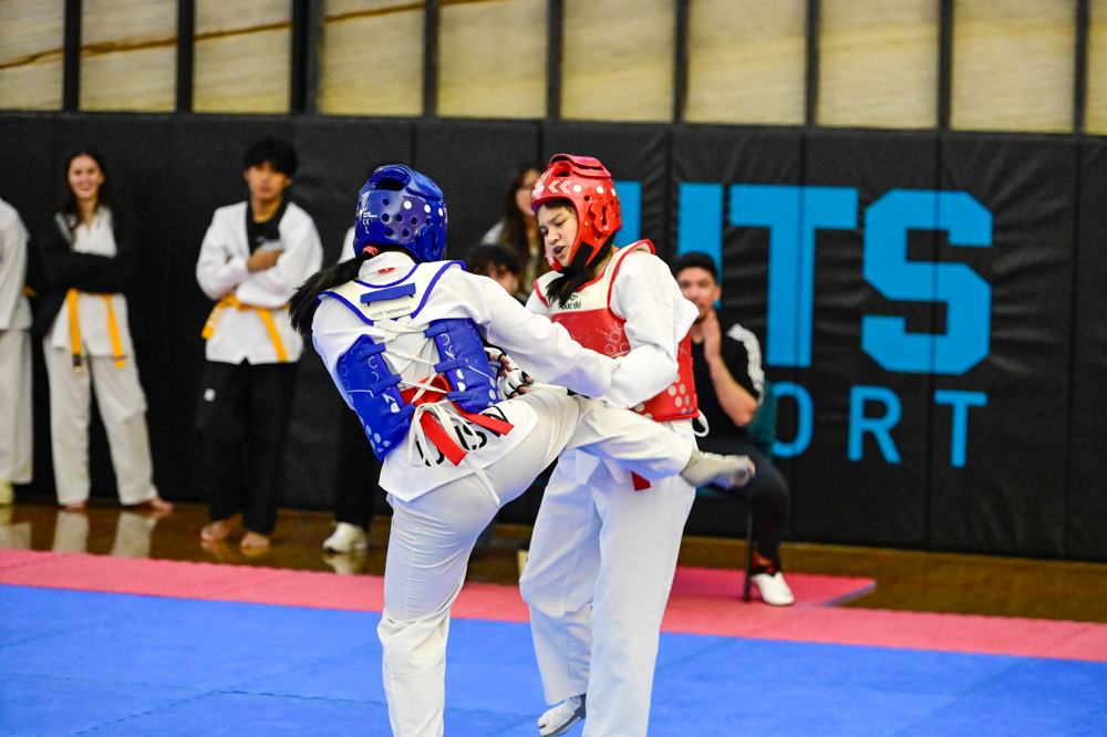 TDog Taekwondo competition G537