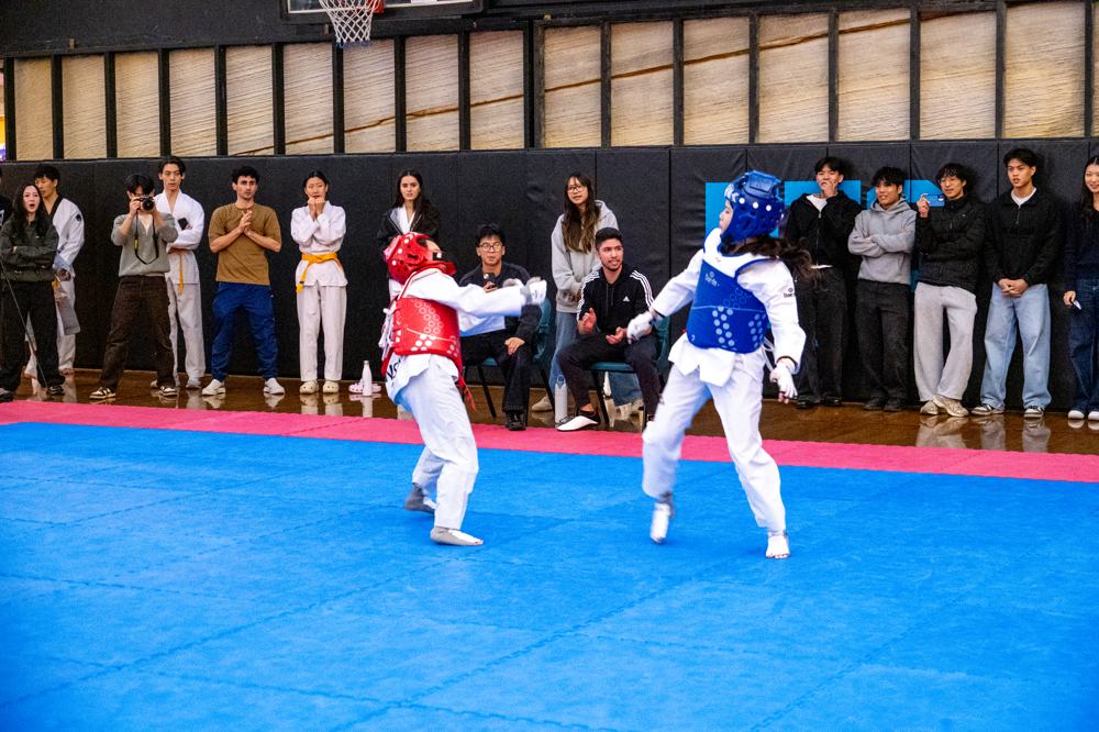 TDog Taekwondo competition G538