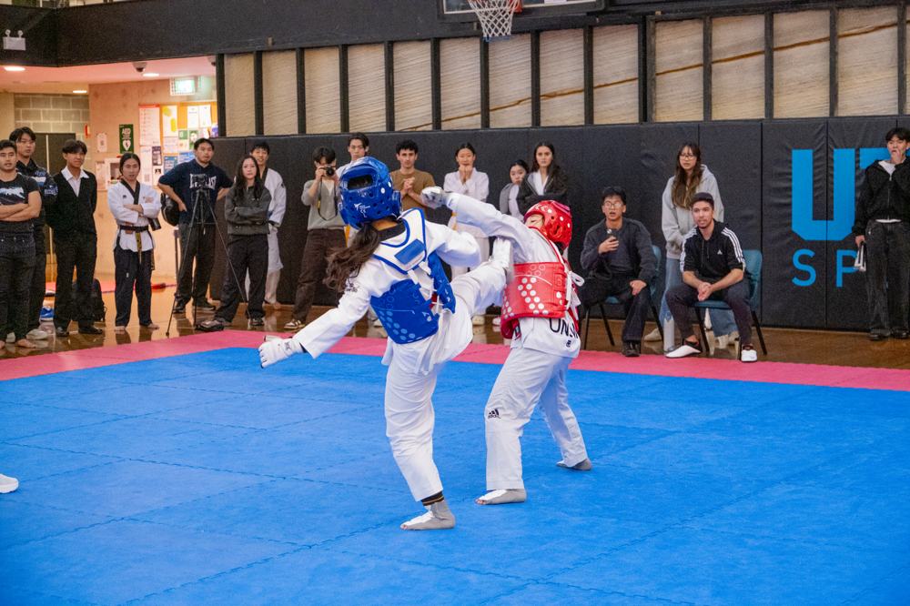 TDog Taekwondo competition G539