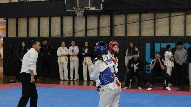 TDog Taekwondo competition G54