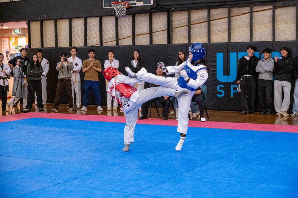 TDog Taekwondo competition G540