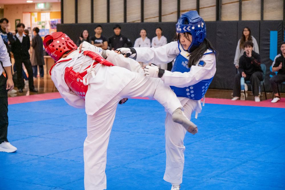 TDog Taekwondo competition G541