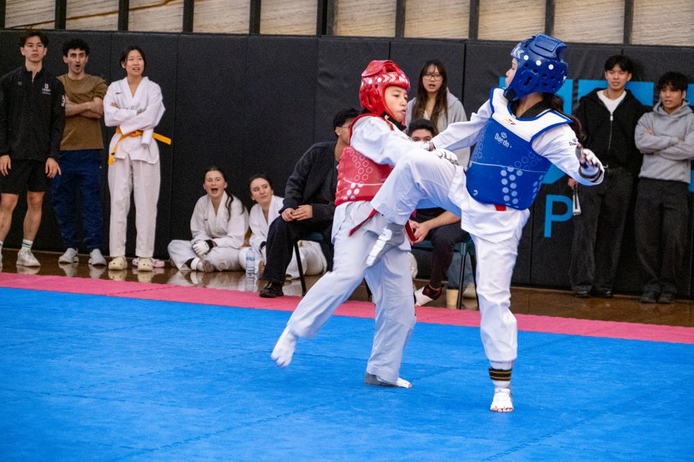 TDog Taekwondo competition G542