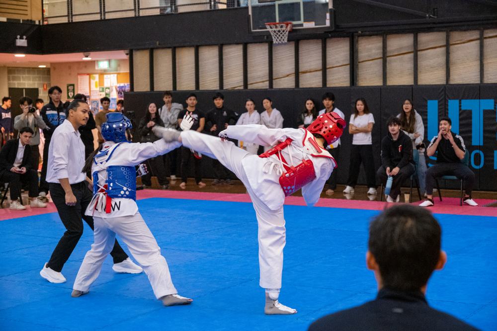 TDog Taekwondo competition G543