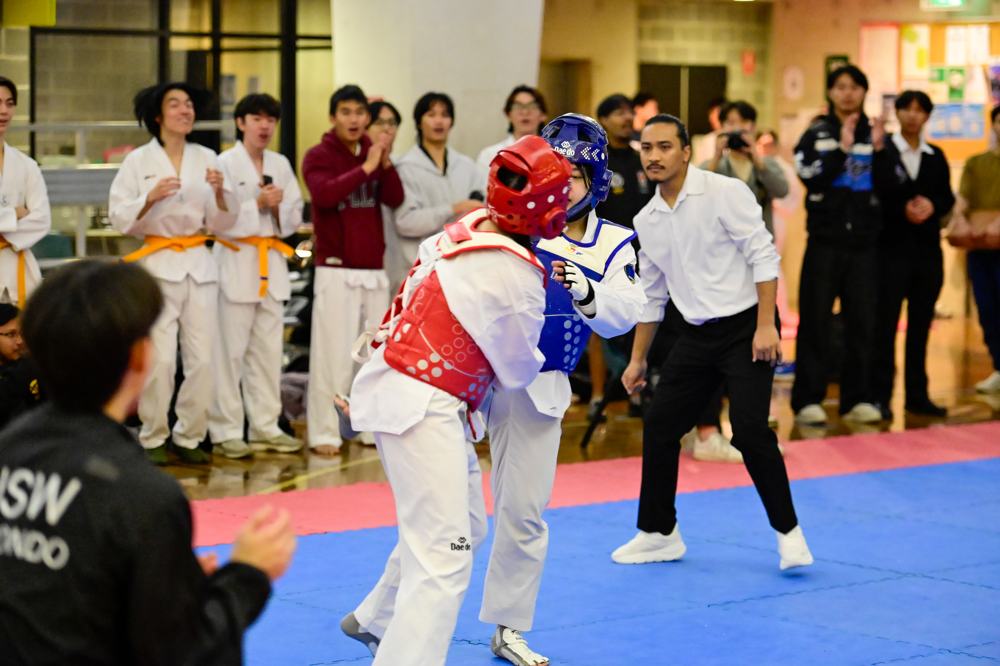 TDog Taekwondo competition G546