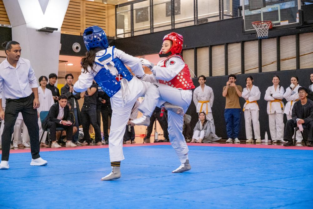 TDog Taekwondo competition G547