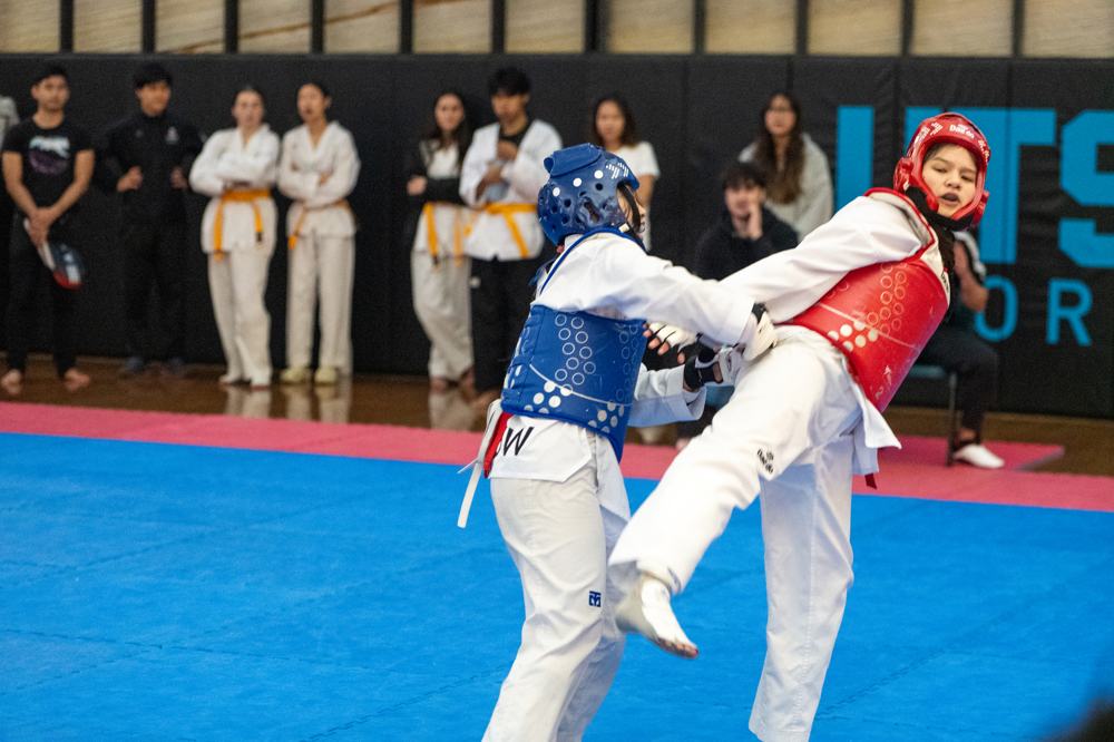 TDog Taekwondo competition G548