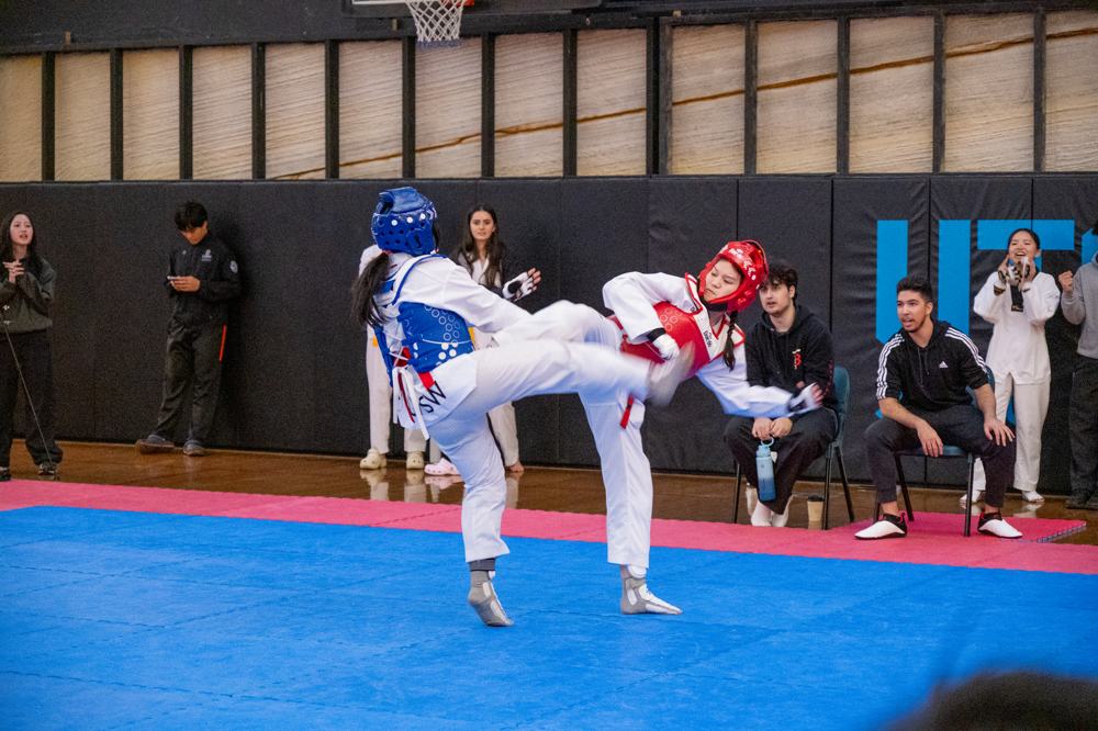 TDog Taekwondo competition G549