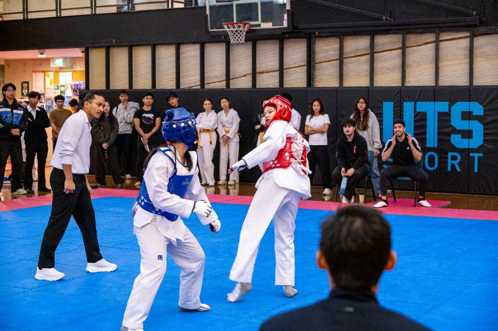 TDog Taekwondo competition G550