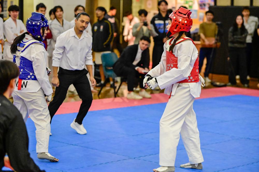 TDog Taekwondo competition G551