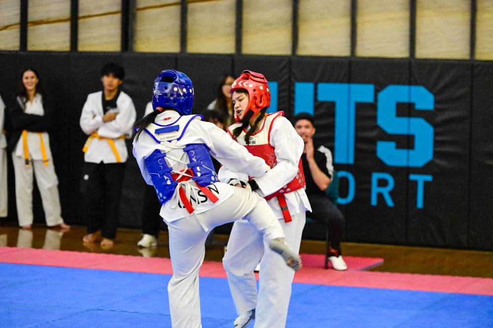 TDog Taekwondo competition G552