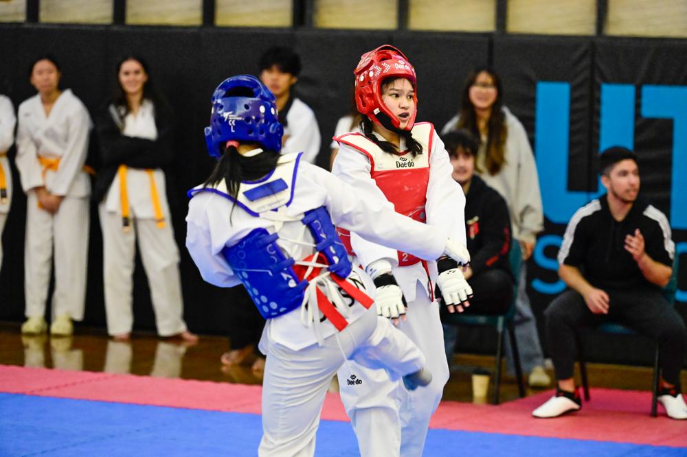 TDog Taekwondo competition G553