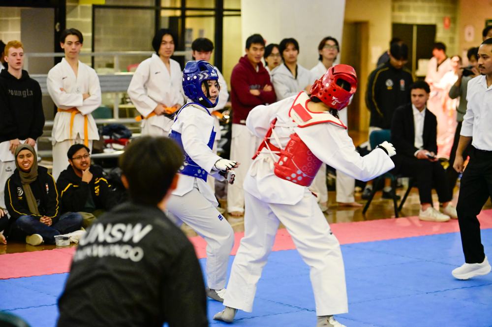 TDog Taekwondo competition G555