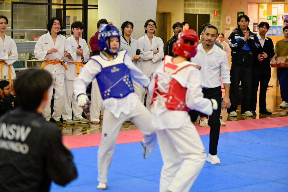 TDog Taekwondo competition G556