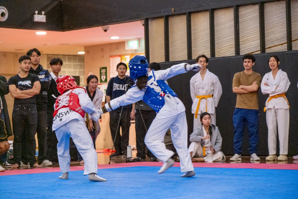 TDog Taekwondo competition G557