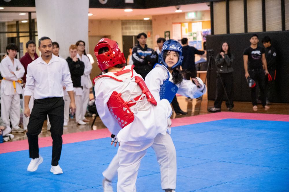 TDog Taekwondo competition G558