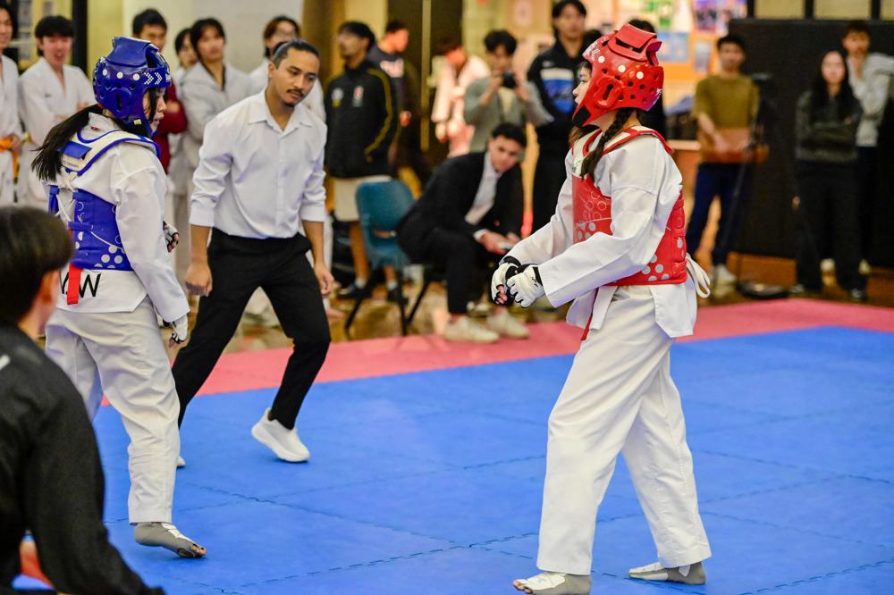 TDog Taekwondo competition G559