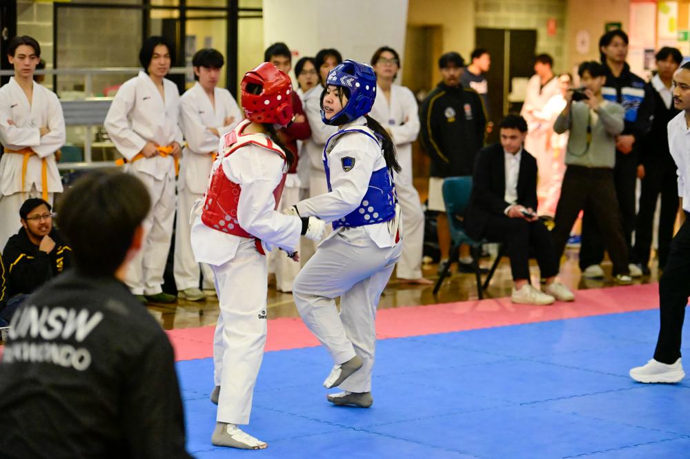 TDog Taekwondo competition G560