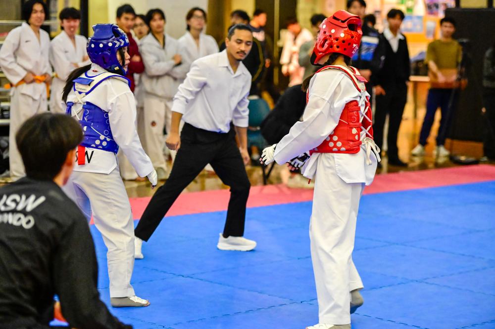 TDog Taekwondo competition G561