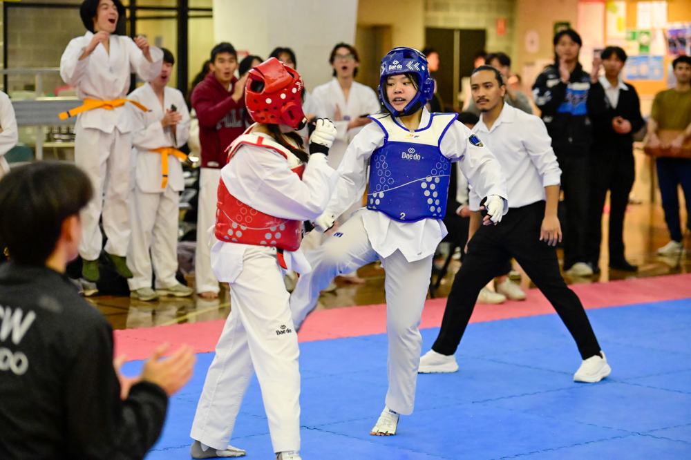 TDog Taekwondo competition G562