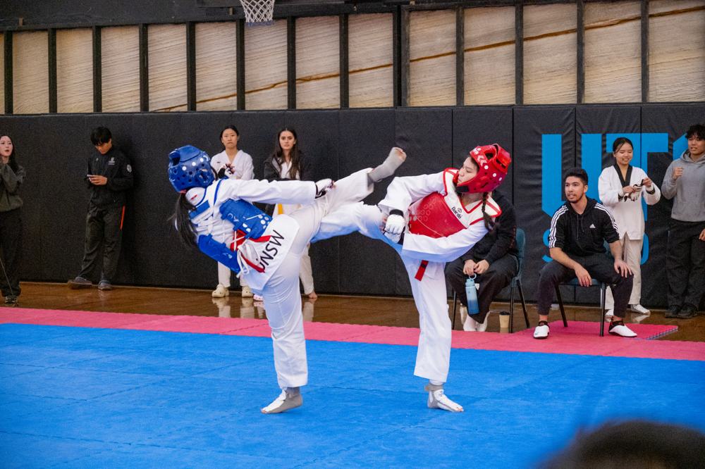 TDog Taekwondo competition G563