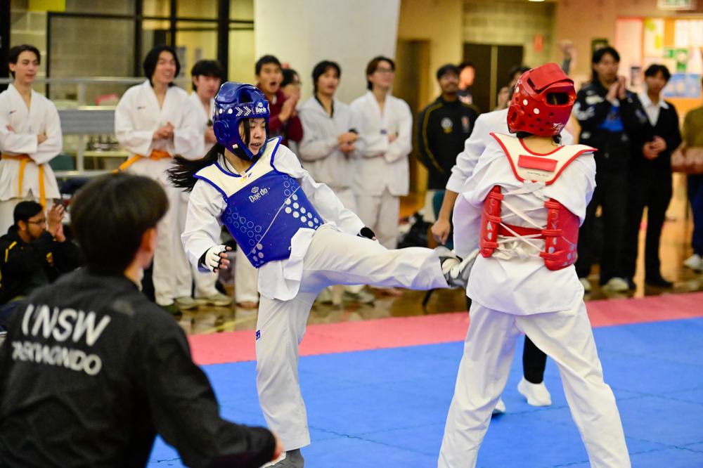 TDog Taekwondo competition G564