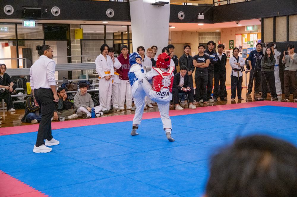 TDog Taekwondo competition G565