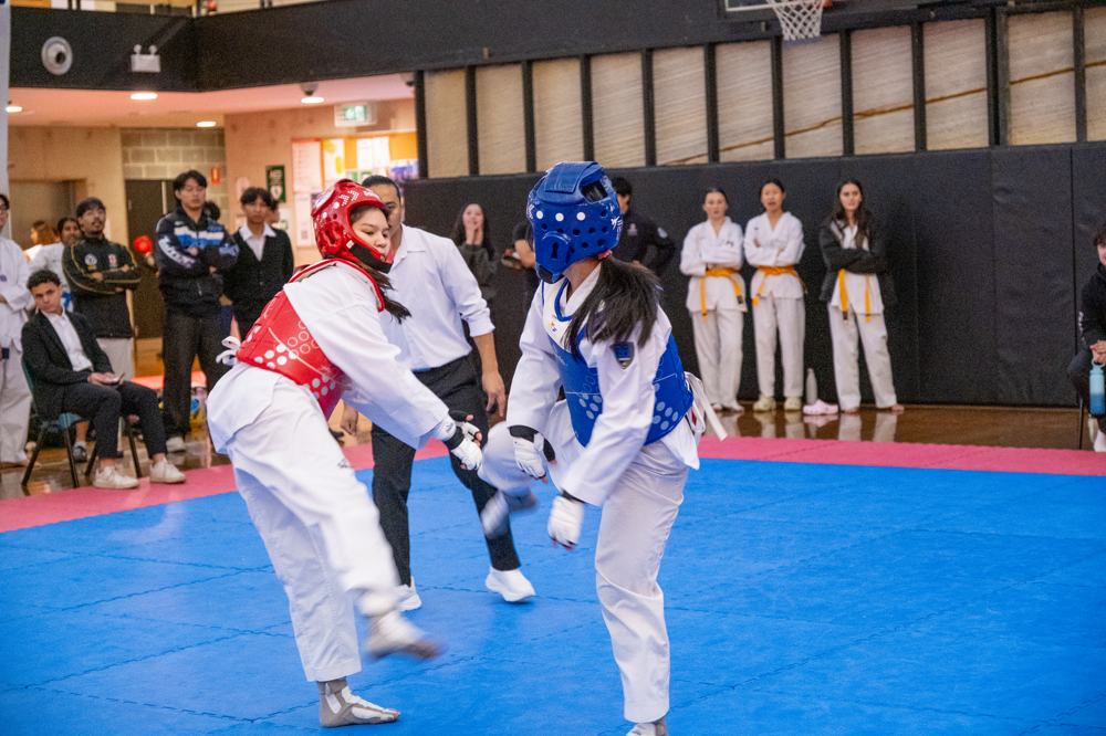 TDog Taekwondo competition G566