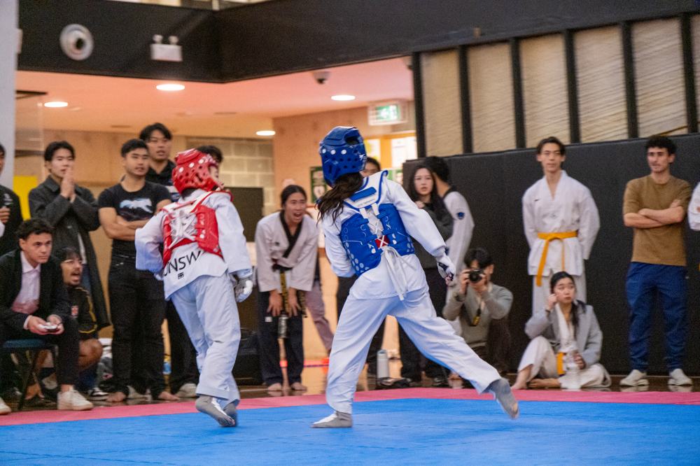 TDog Taekwondo competition G567