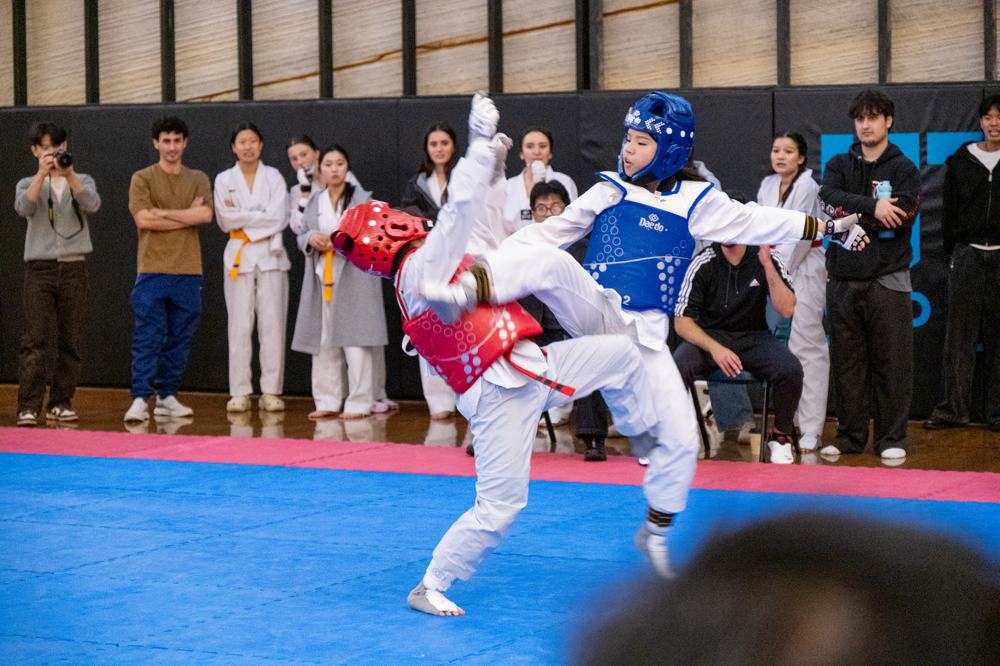 TDog Taekwondo competition G568