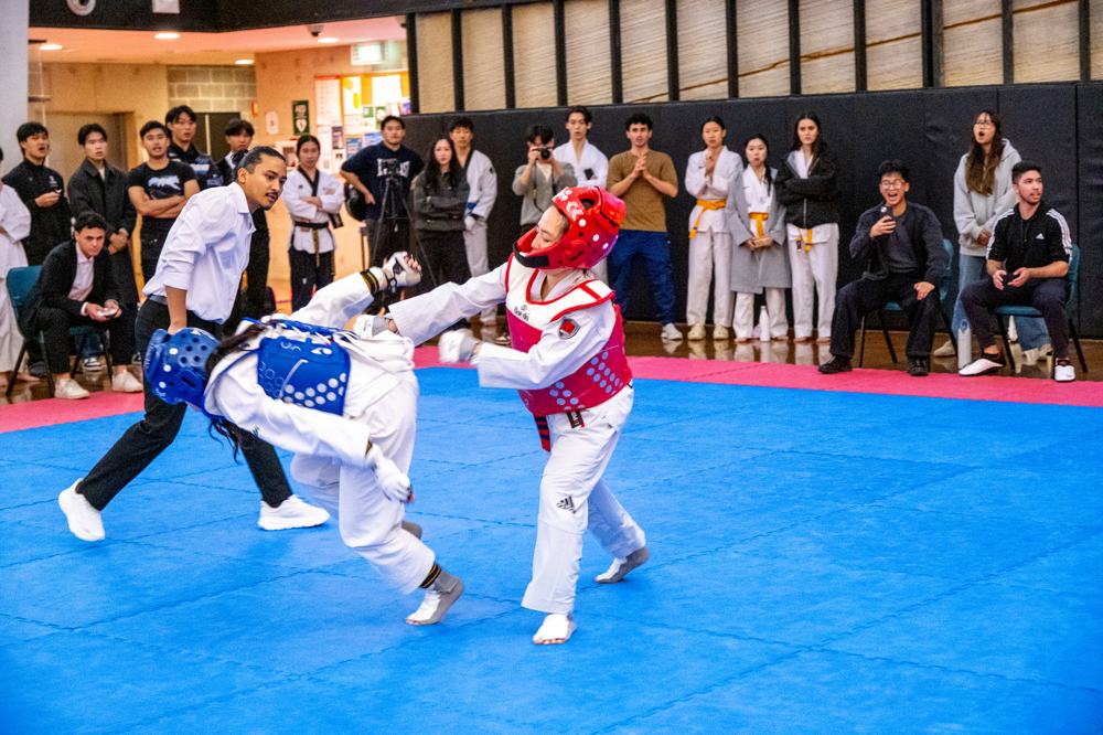 TDog Taekwondo competition G569
