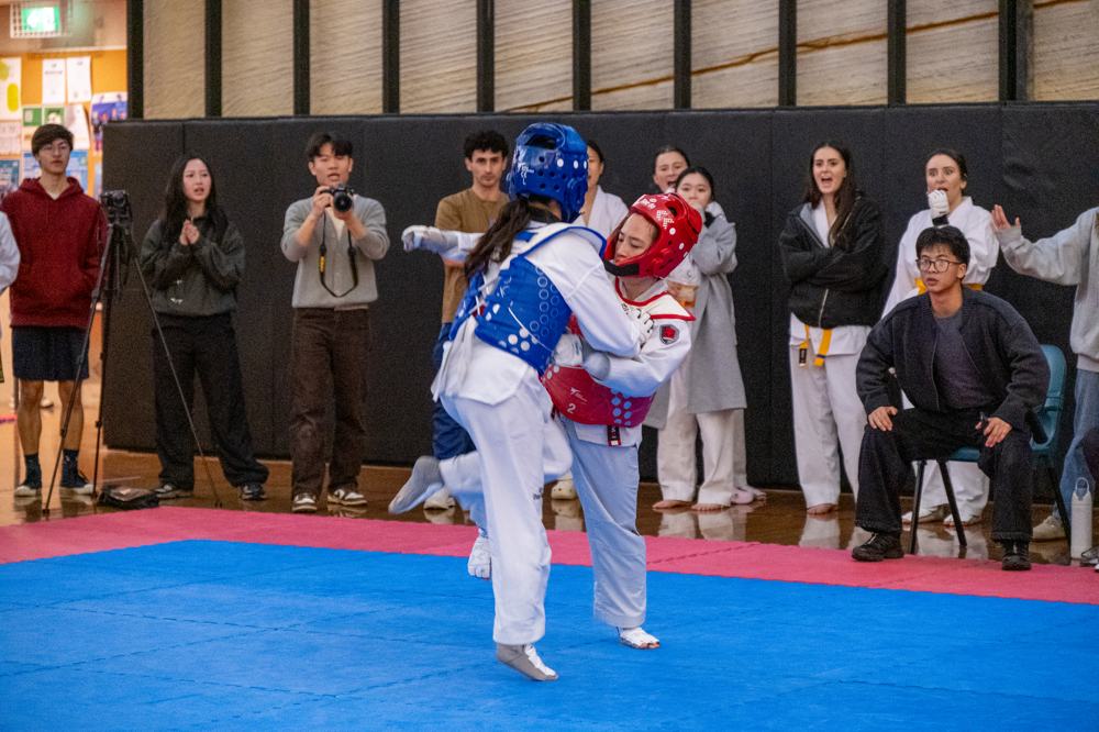 TDog Taekwondo competition G570