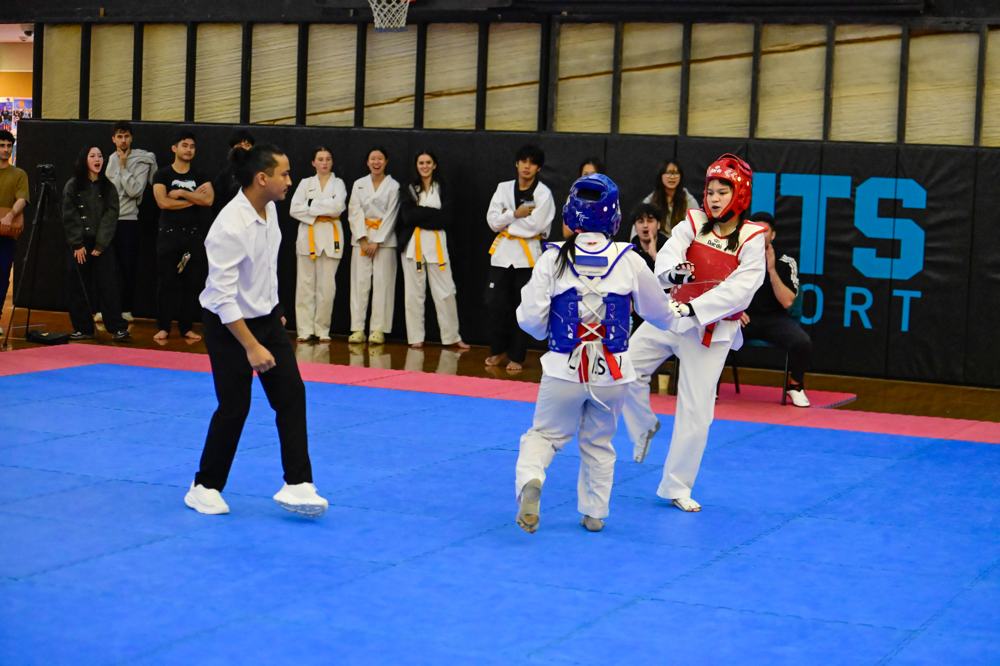 TDog Taekwondo competition G571