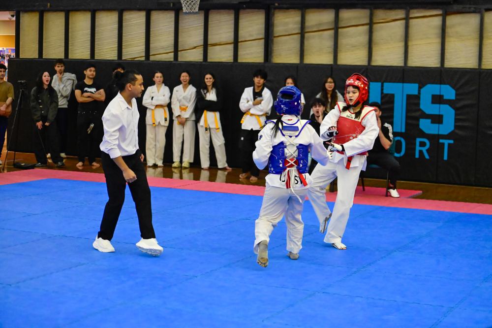 TDog Taekwondo competition G573