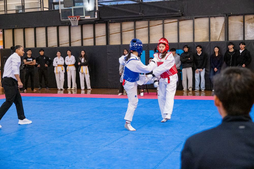 TDog Taekwondo competition G574
