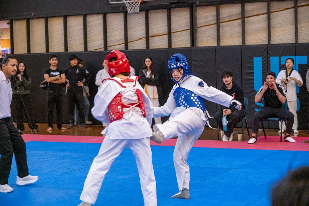 TDog Taekwondo competition G575