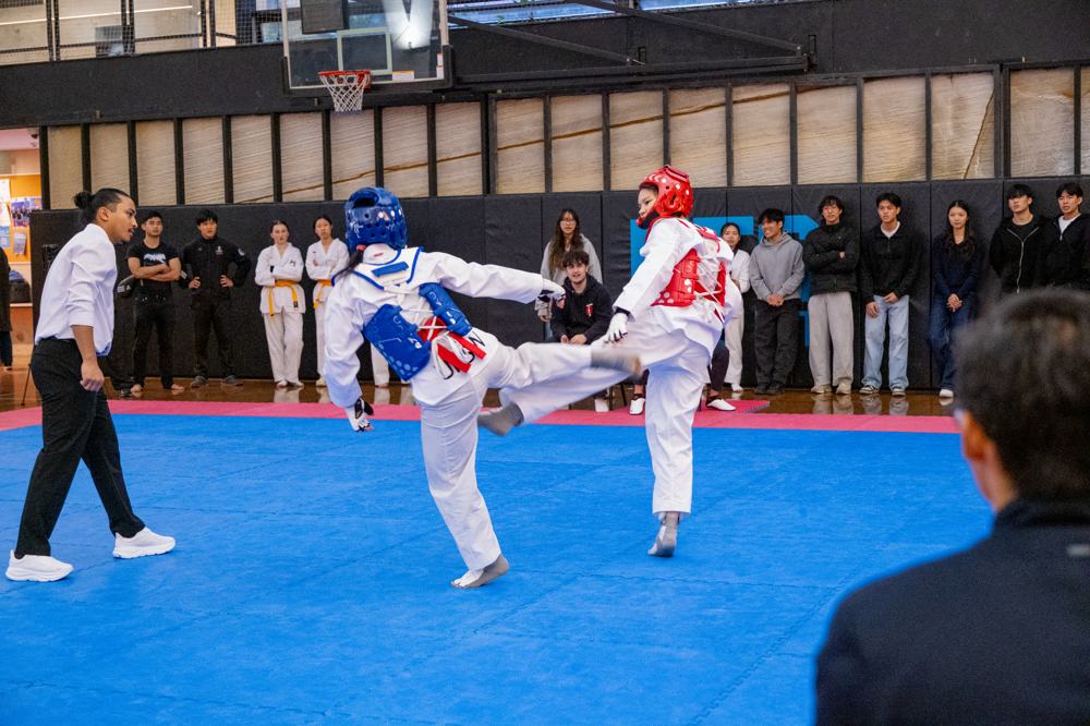 TDog Taekwondo competition G576