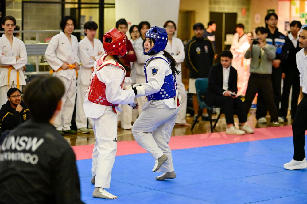 TDog Taekwondo competition G577