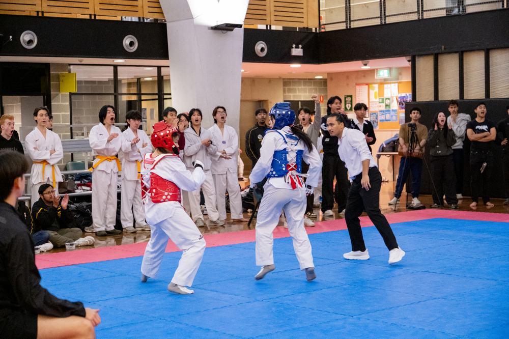 TDog Taekwondo competition G578