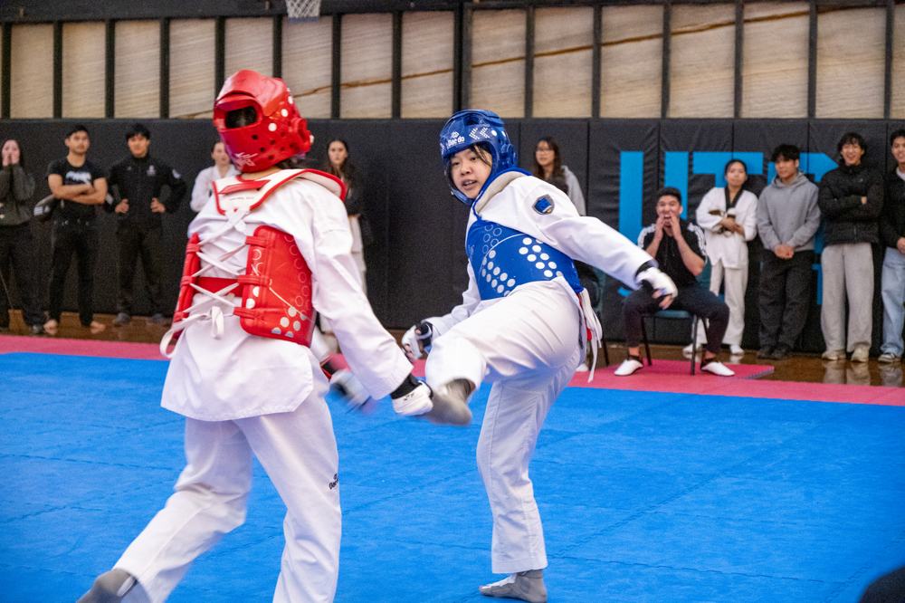 TDog Taekwondo competition G580