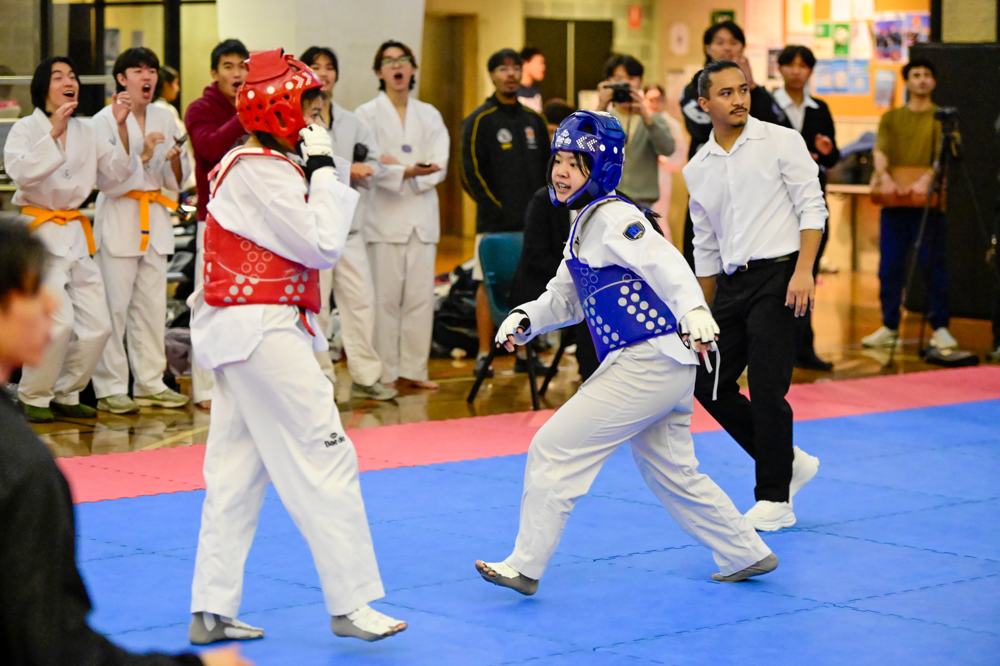 TDog Taekwondo competition G581