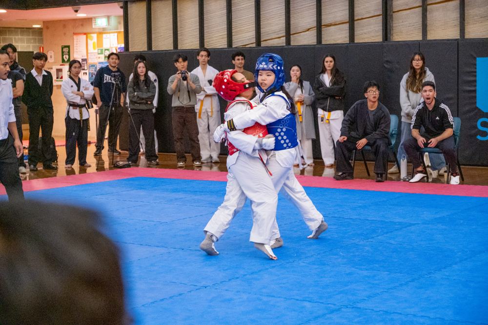 TDog Taekwondo competition G582