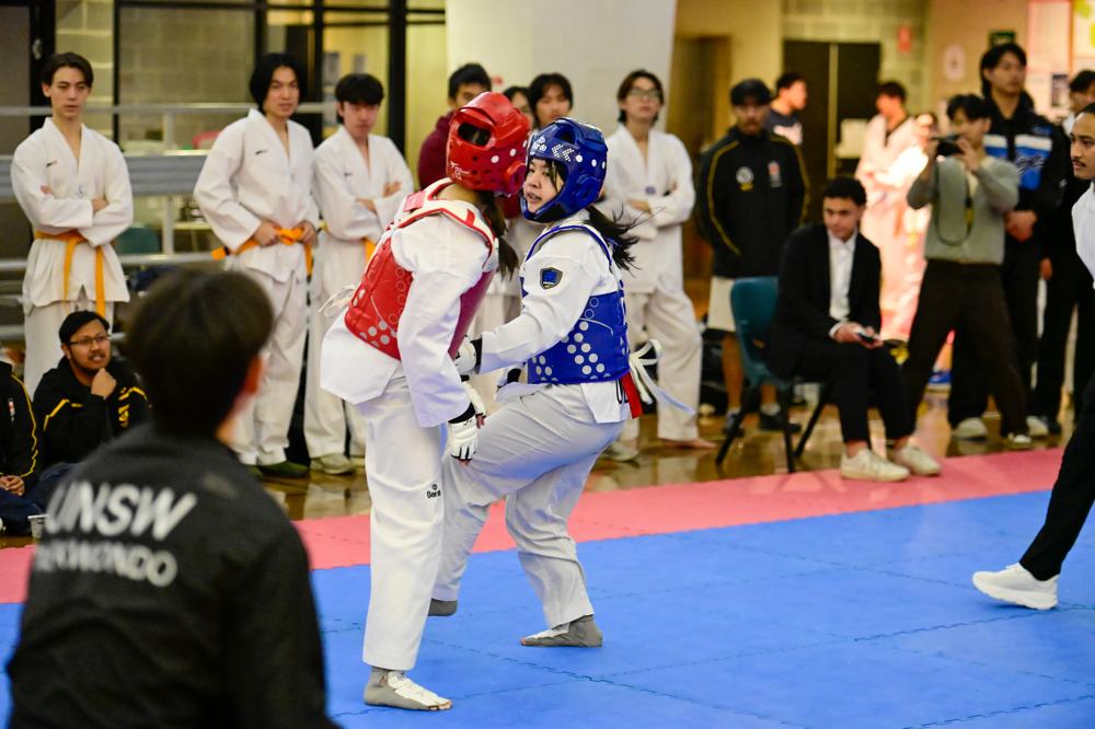 TDog Taekwondo competition G583