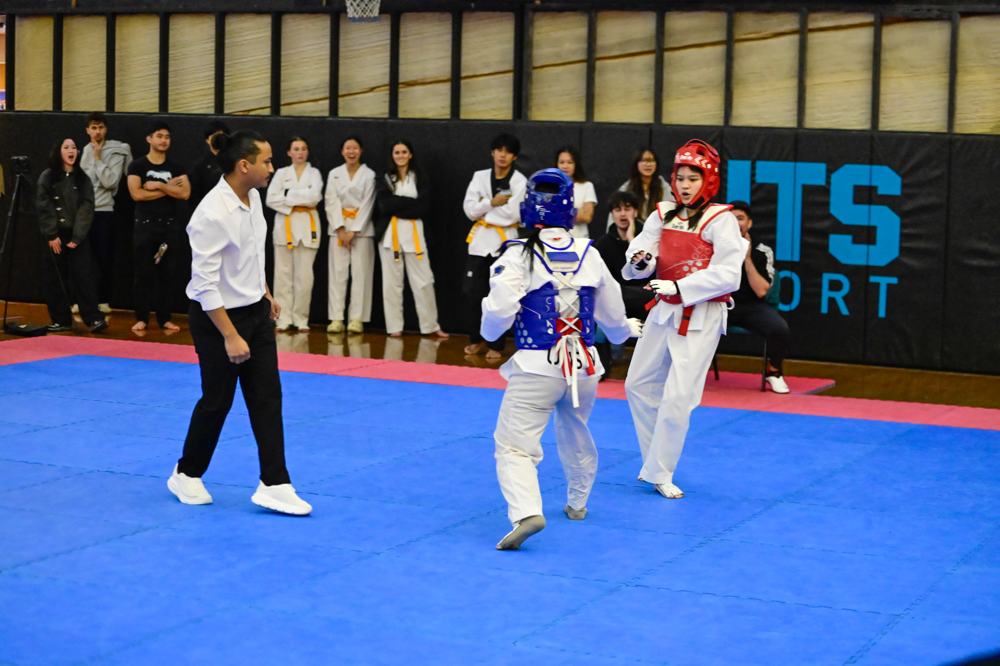 TDog Taekwondo competition G584