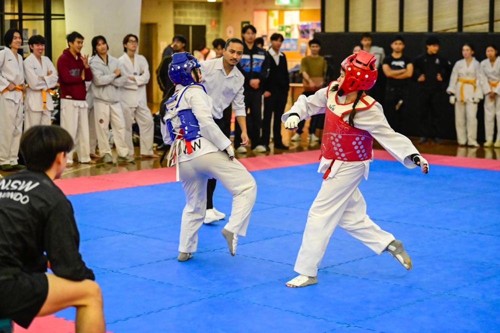 TDog Taekwondo competition G585