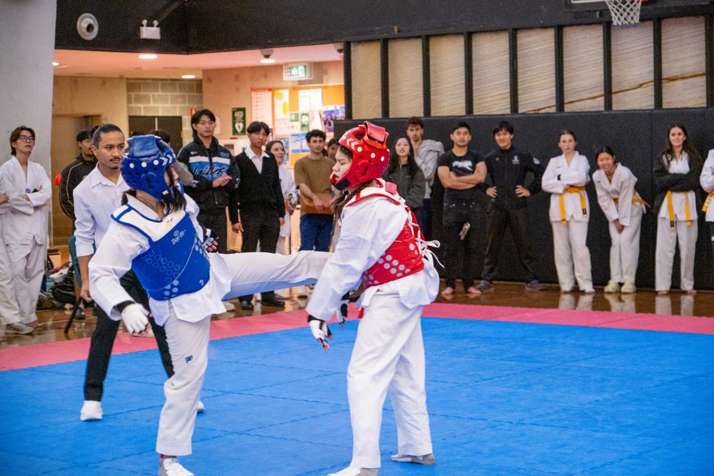 TDog Taekwondo competition G586