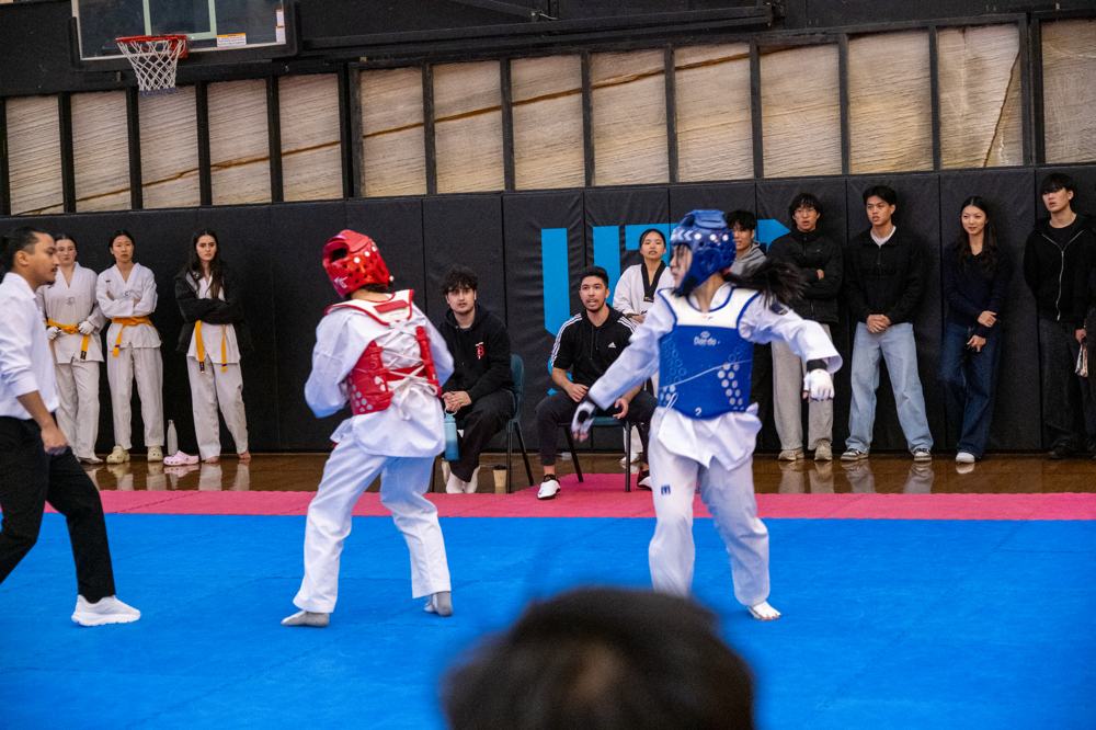 TDog Taekwondo competition G587