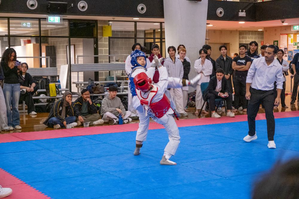 TDog Taekwondo competition G589