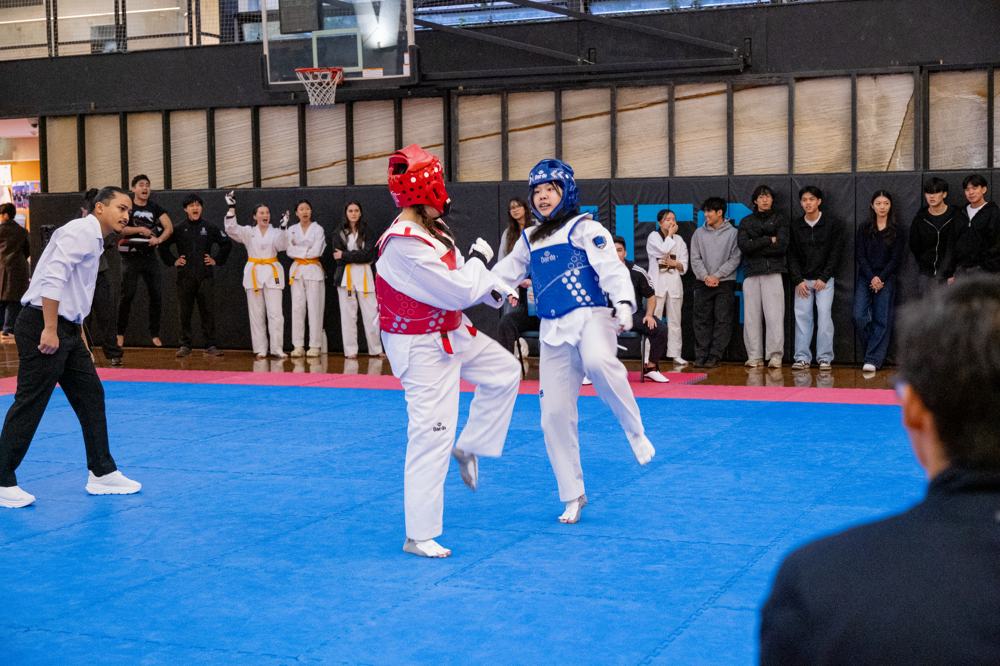 TDog Taekwondo competition G590