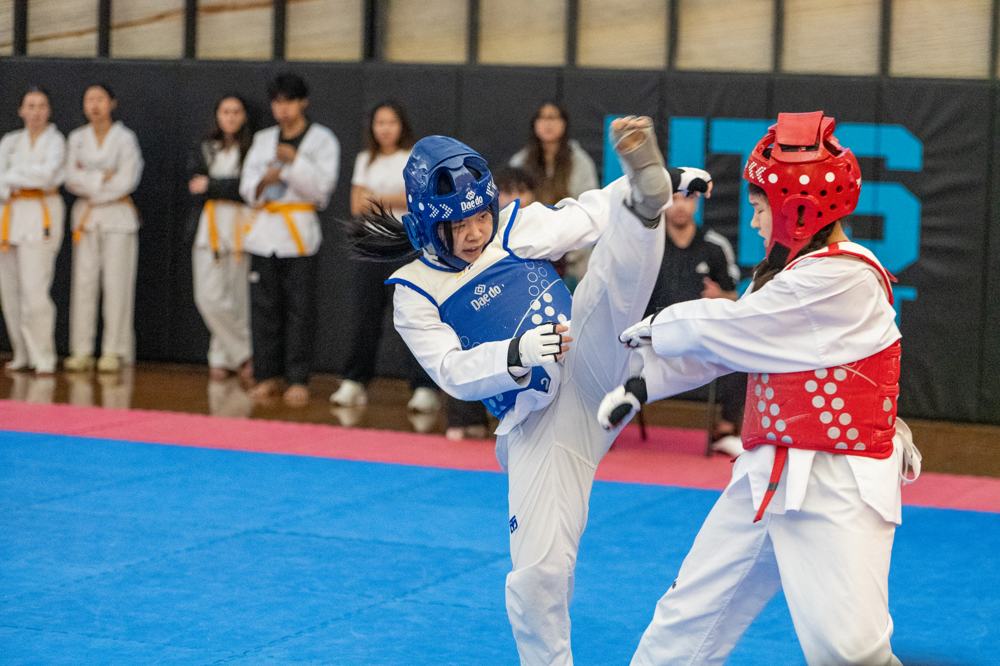 TDog Taekwondo competition G591